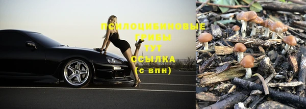 гидра Беломорск