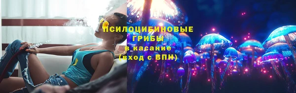 ECSTASY Кодинск