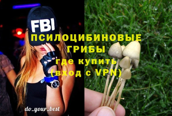 MDMA Белокуриха