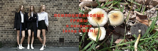 MDMA Белокуриха