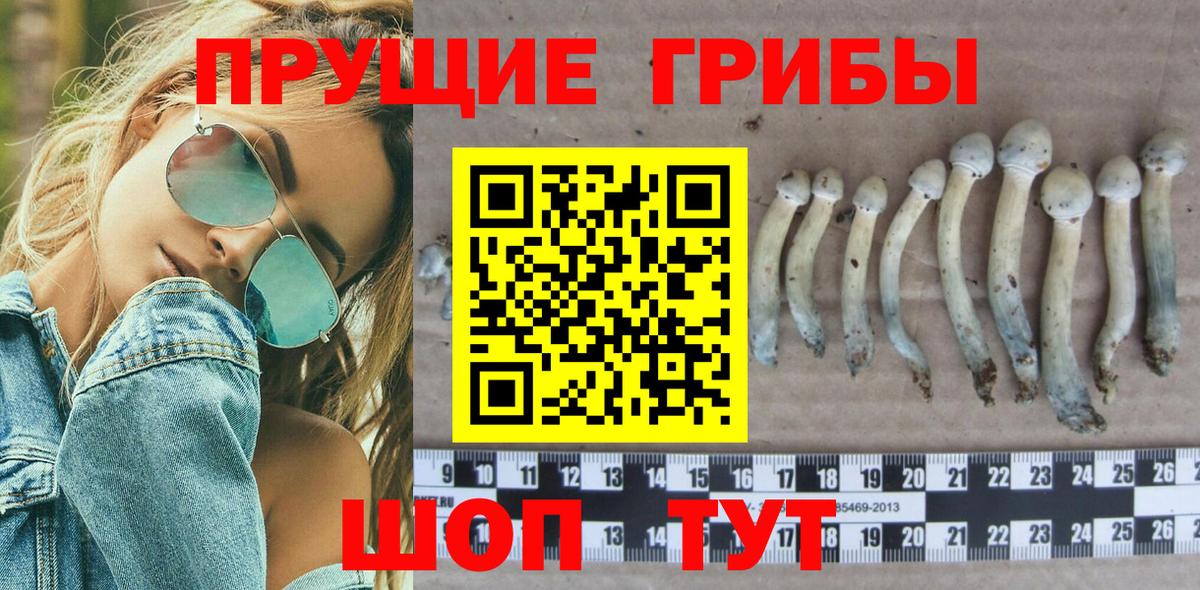 Галлюциногенные грибы ЛСД  Вход с VPN  Верхний Уфалей 