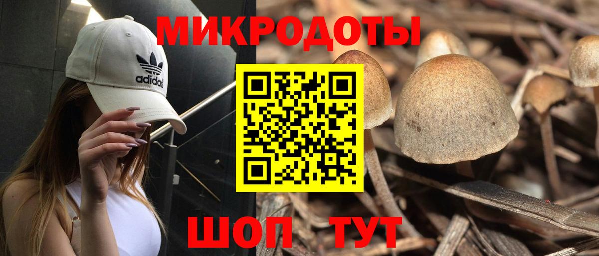 Псилоцибиновые грибы мухоморы Верхний Уфалей