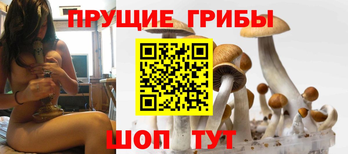 Псилоцибиновые грибы GOLDEN TEACHER Верхний Уфалей